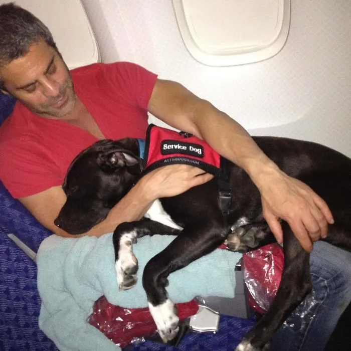Este Es El Momento En Que Mi Papi Y Mi Otro Papi Martin (A Quien Echo Mucho De Menos) Me Trajeron De Los Angeles A Nueva York En El Avión! Verás, Me Encontraron Solo Y Asustado En Las Calles De South Central Pero Encontré El Camino Hasta Mis Papás ¡y La Mejor Vida Que Podía Tener!