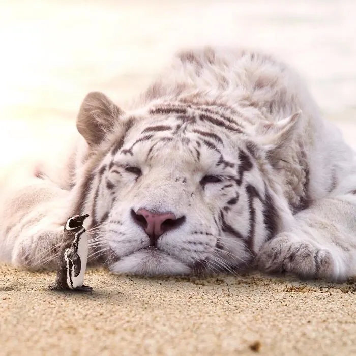 Imagino un mundo con animales gigantes en mis manipulaciones digitales