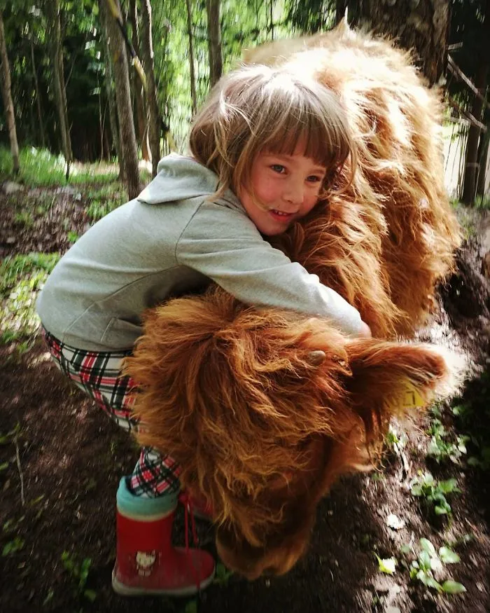 girl hugging calf 