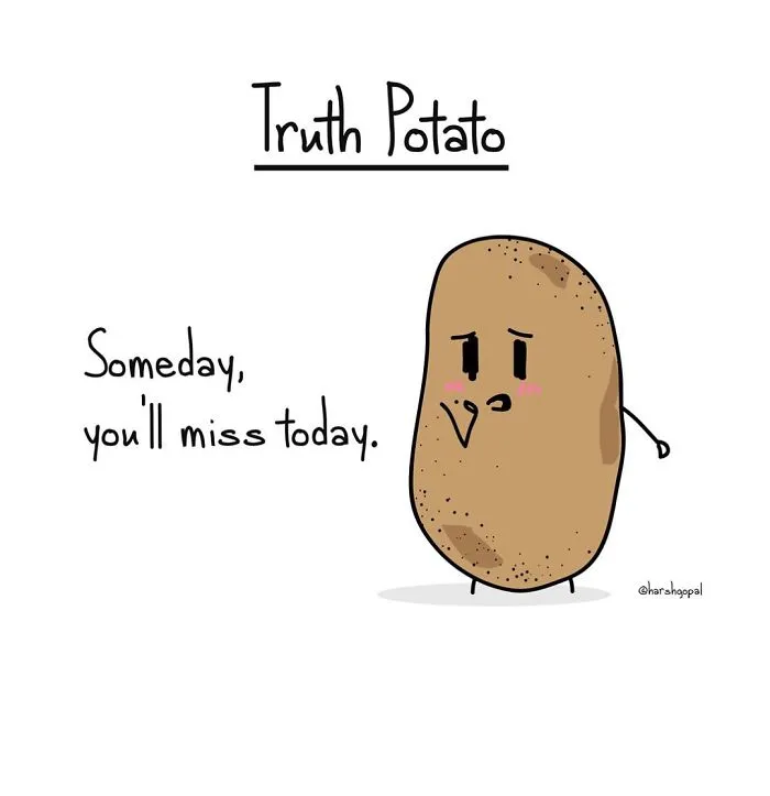 30 Bitter Truths By Truth Potato