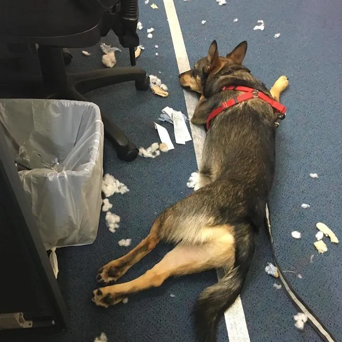 Hard Day At The Office