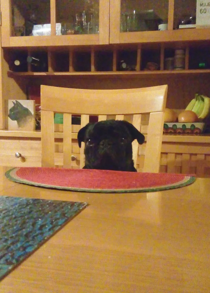 So... Dinner Is At 8 Right?