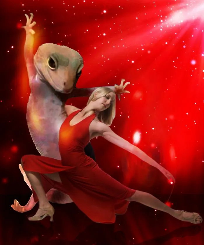 Gecko Tango