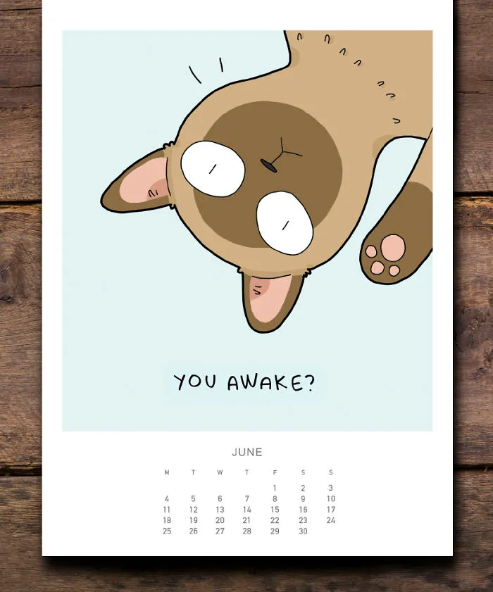 I Created A Cat Calendar To Make 2018 Pawesome