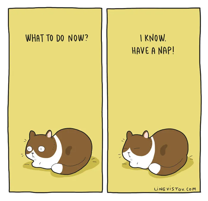 I Illustrate What It's Like To Live With A Cat In 18 Comics