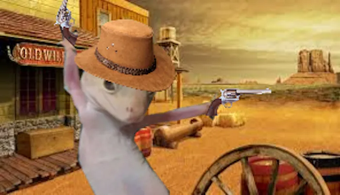 Rootin' Tootin' Gecko Shootin'