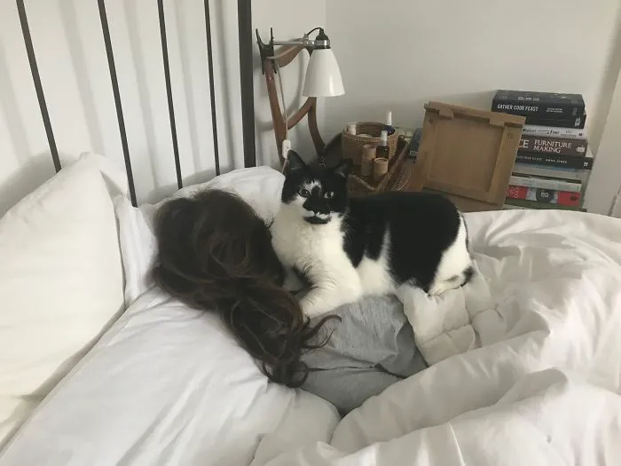 Cat Nap. @thislittlecorner
