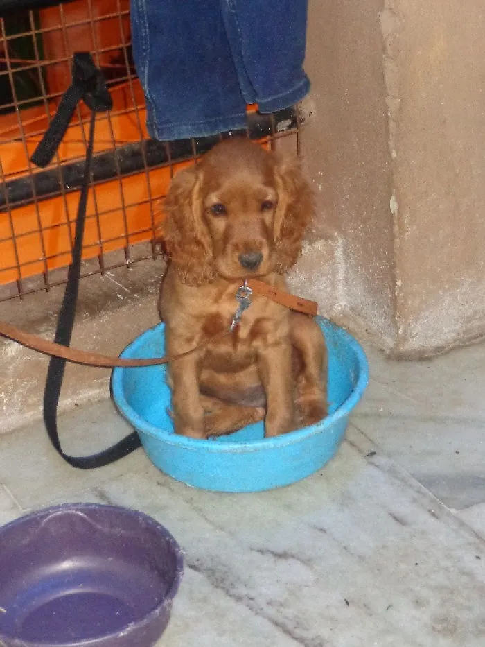 My Sandy