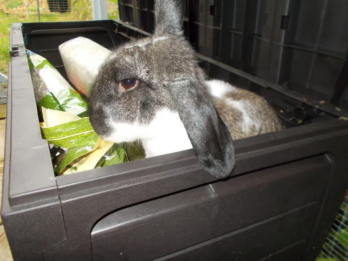 "You Did Not Feed Me Fast Enough. I Am Now Stuck. Get Me Out"