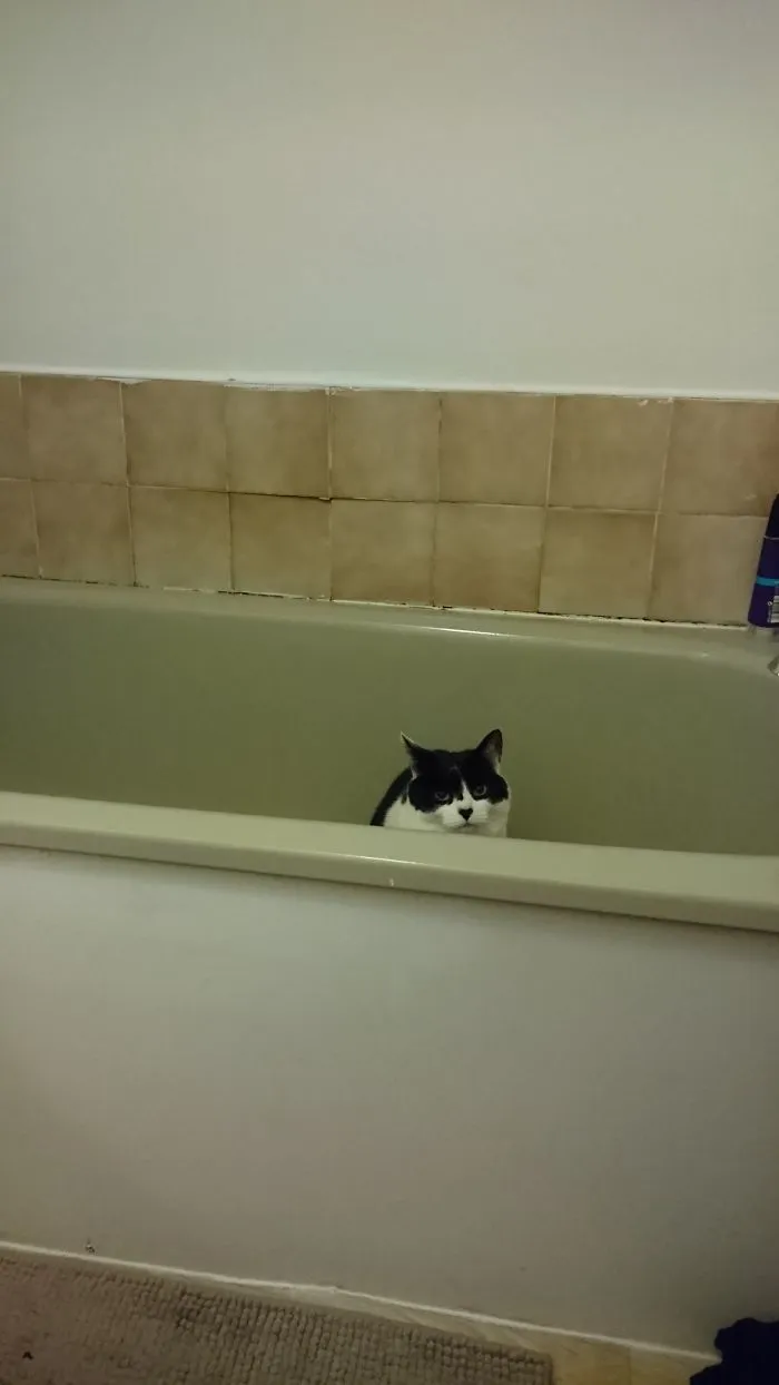No, You Can't Wash This Morning. Sorry!