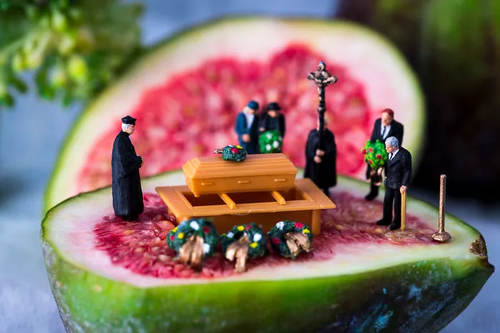 Rest In Figs