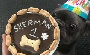 Did Someone Say Cake?!