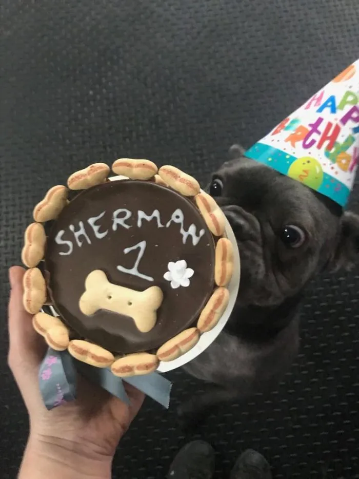 Did Someone Say Cake?!