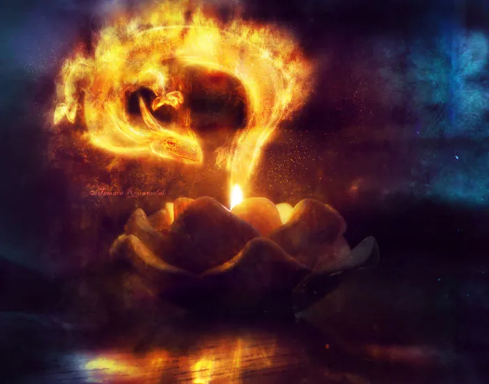 Dragon Candlelight