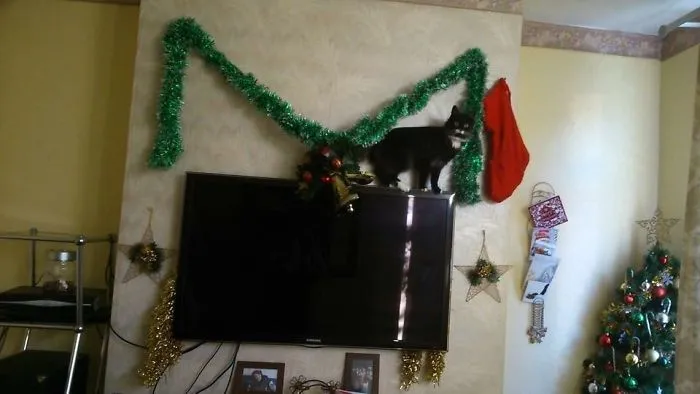 Misty-Minx Found Her Presents.