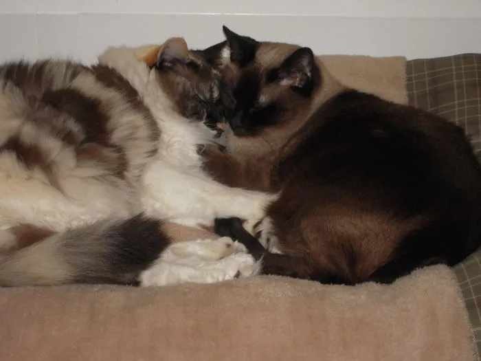 We Are Not Getting Up!