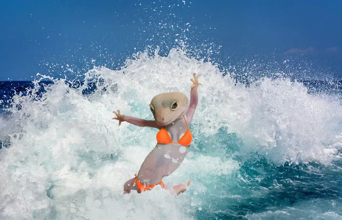 Summer Holiday
