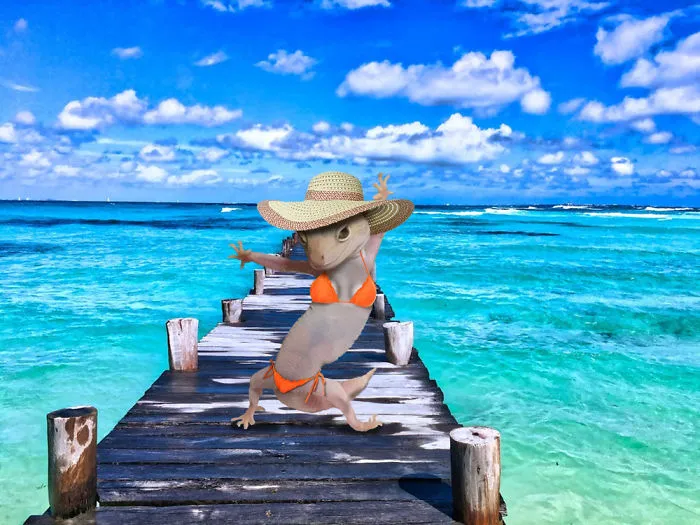 Summer Holiday 2