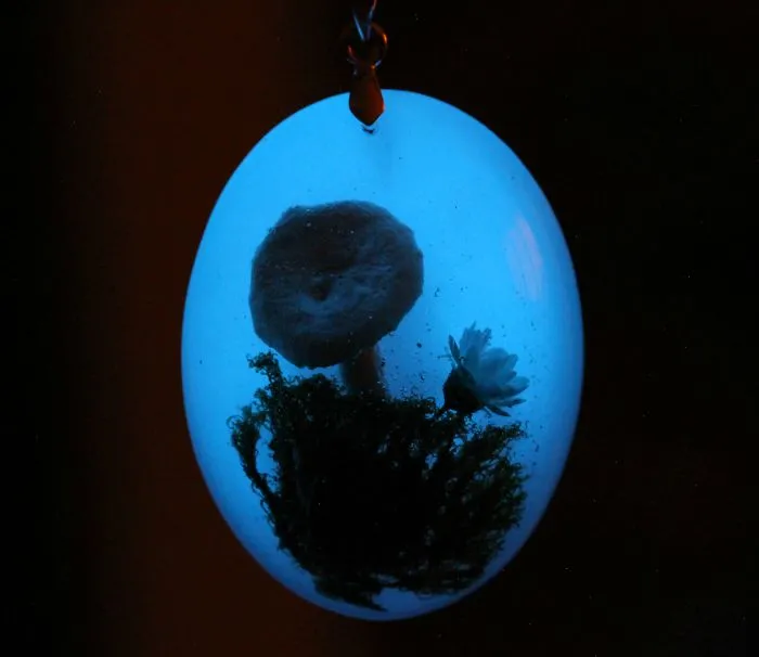 I Capture The Beauty Of Woodlands And Meadows In Resin Jewelry