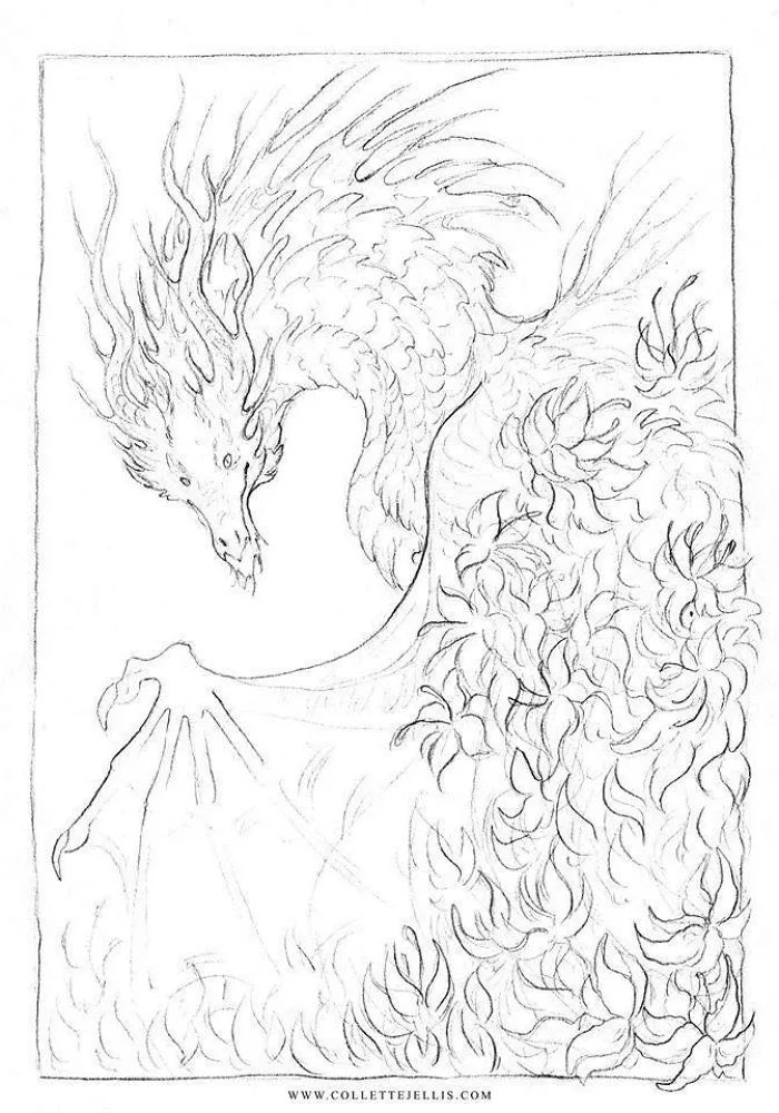 Flora
