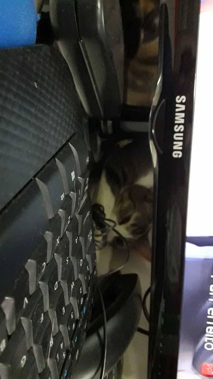 Everytime She Enters My Room, She Gets Behind The Frickn' Tv