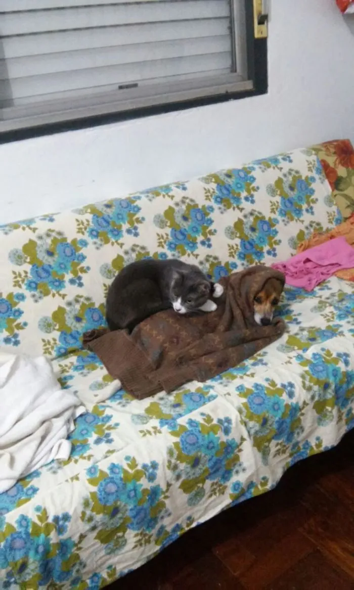 Because There Is No Places To Stay, Right?