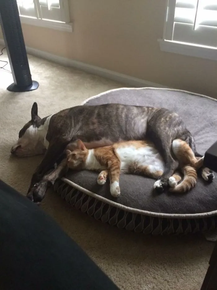 Nothing To See Here