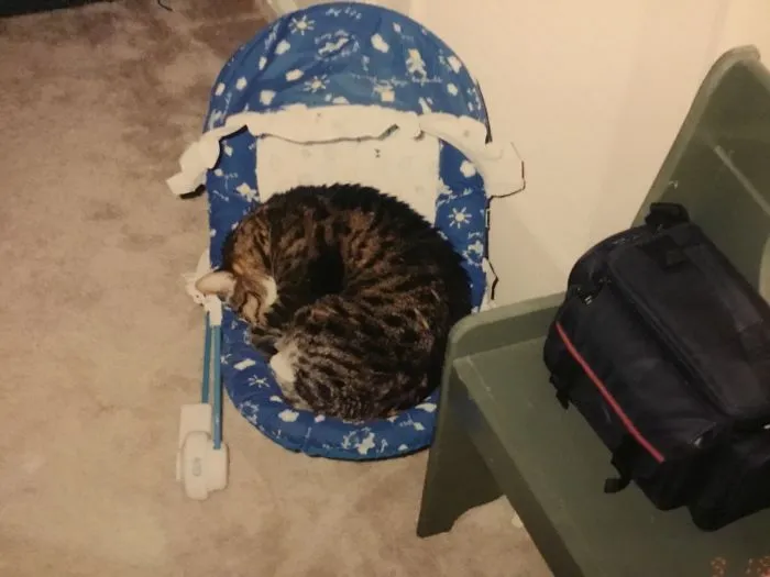 Sorry, There's No Room For That Baby Of Yours!
