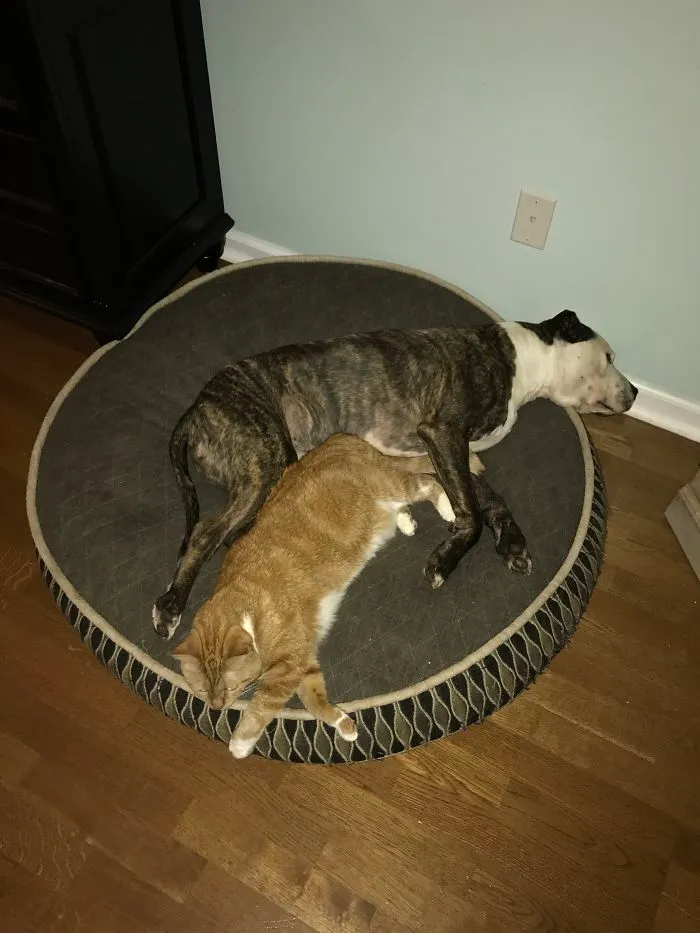 I Can Fit