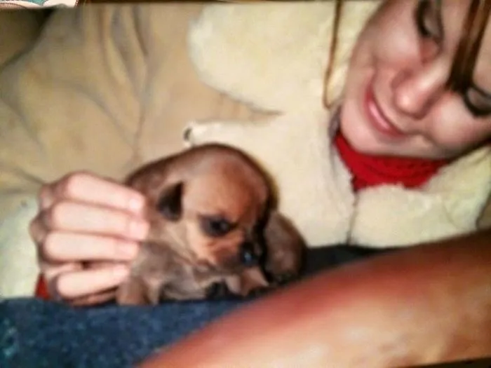 Only 3 Days Old I Met My Page.  She's Now 15.