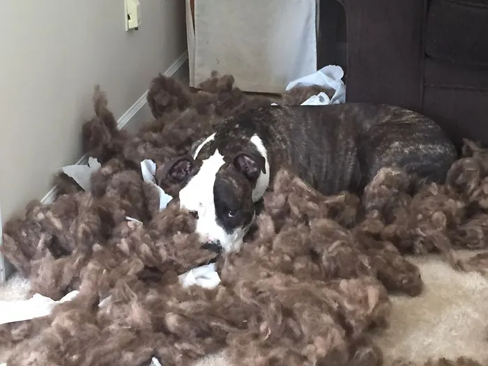 It Went Poof Mommy