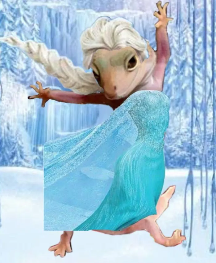 Let It Go, Let It Gooo.