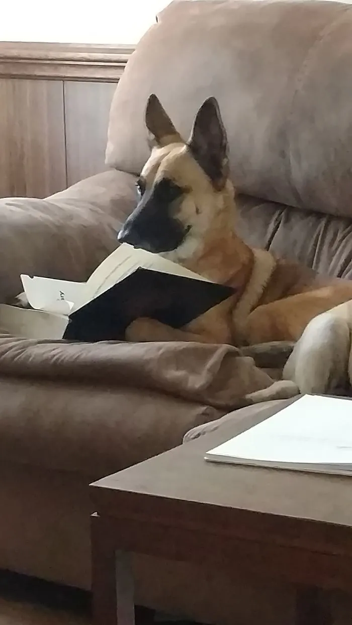 Learning Some Words From The Dictionary