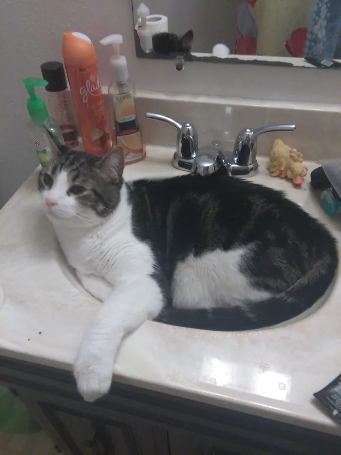 No Washy Washy Now. I Sleepy..