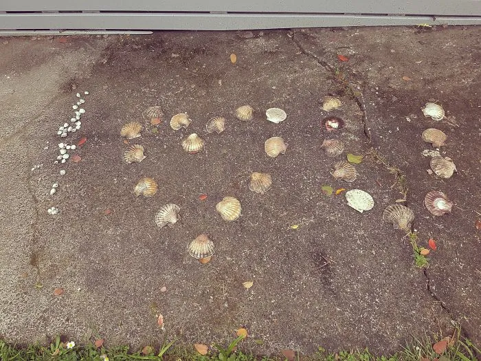 He Said It With Shells... Waiting For Me When I Got Home.