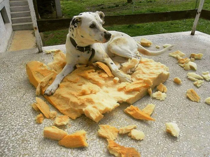 Wasn't Me...