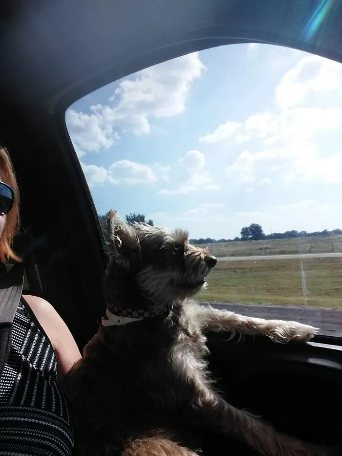 Just Cruising On Our Way Home To Dallas