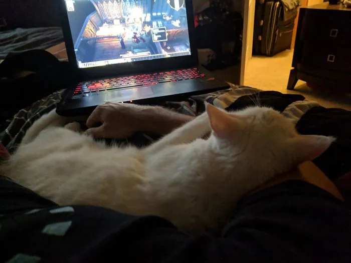 Samus Has Deemed That This Is Now Multiplayer.