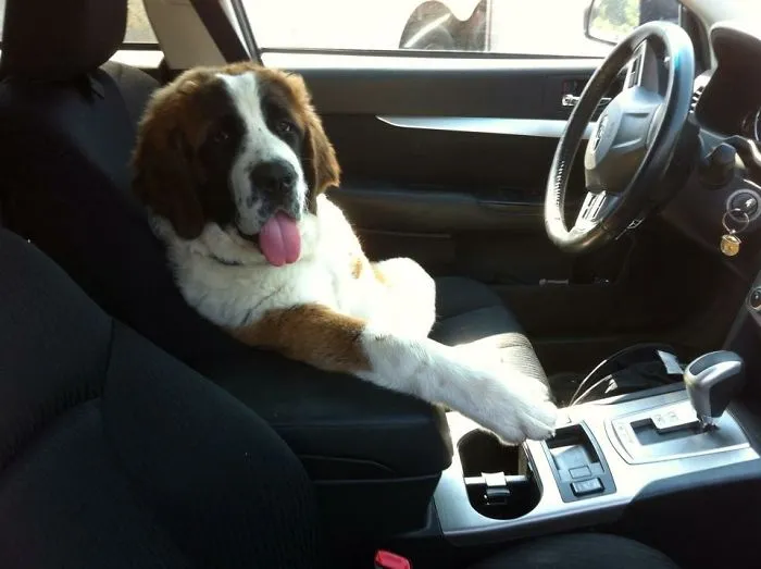 Everybody Ready To Go?