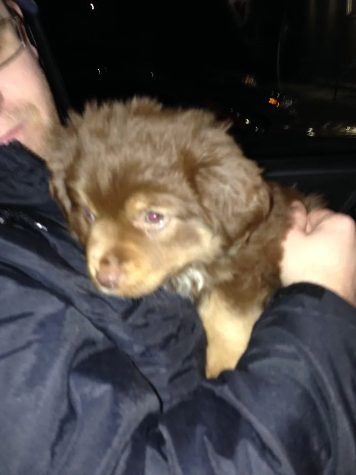 Bella And Robert On The Night We Chose Her From The Breeder.