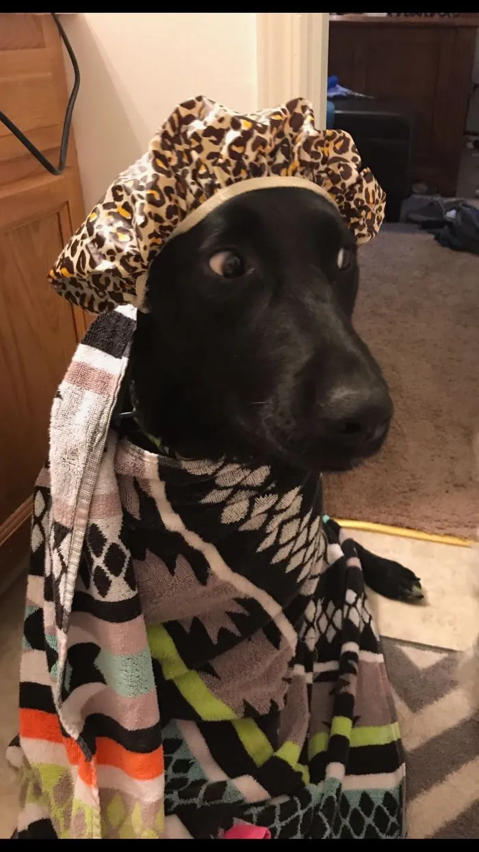Loki Is Ready For A Bath