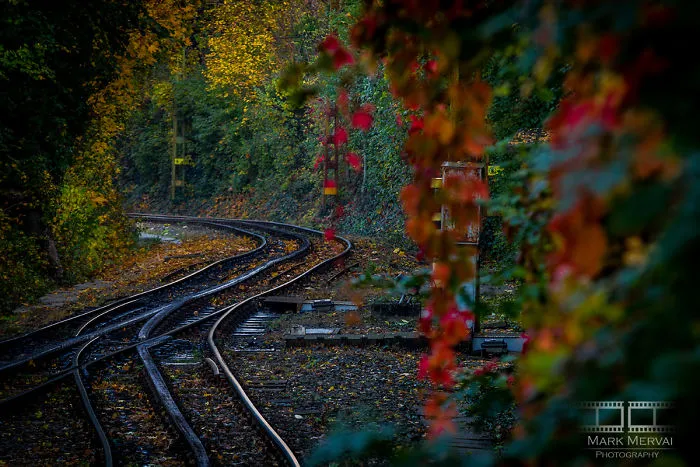 I Capture Places In Budapest During Autumn And The Result Is An Amazing "Game Of Tones"