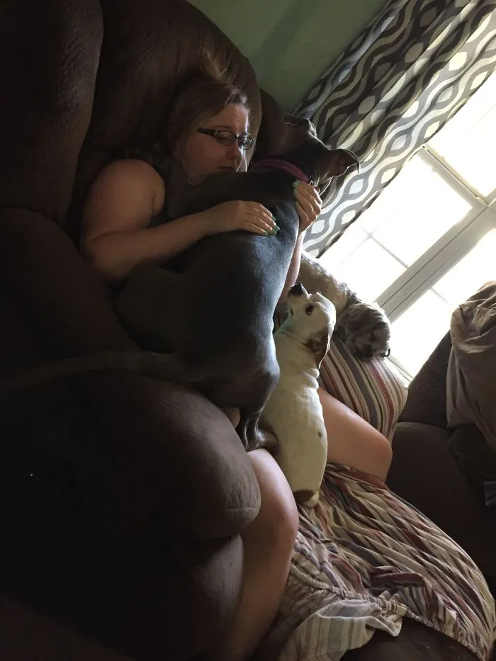 Lilly Always Has To Lay On Something Or Someone. Her Butt Never Touched The Floor!💜