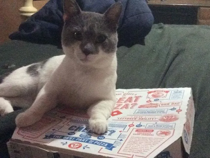 Was That Yours? My Bad.