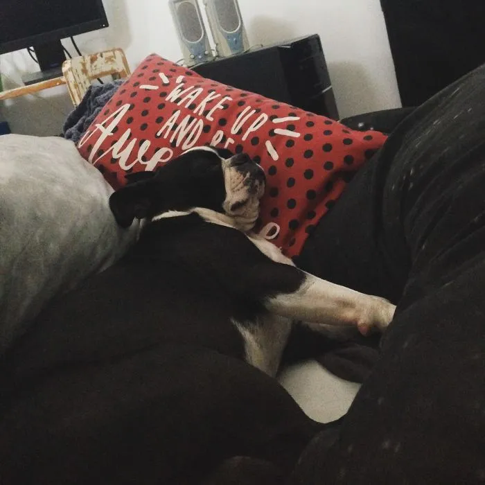 Sleeping Beauty