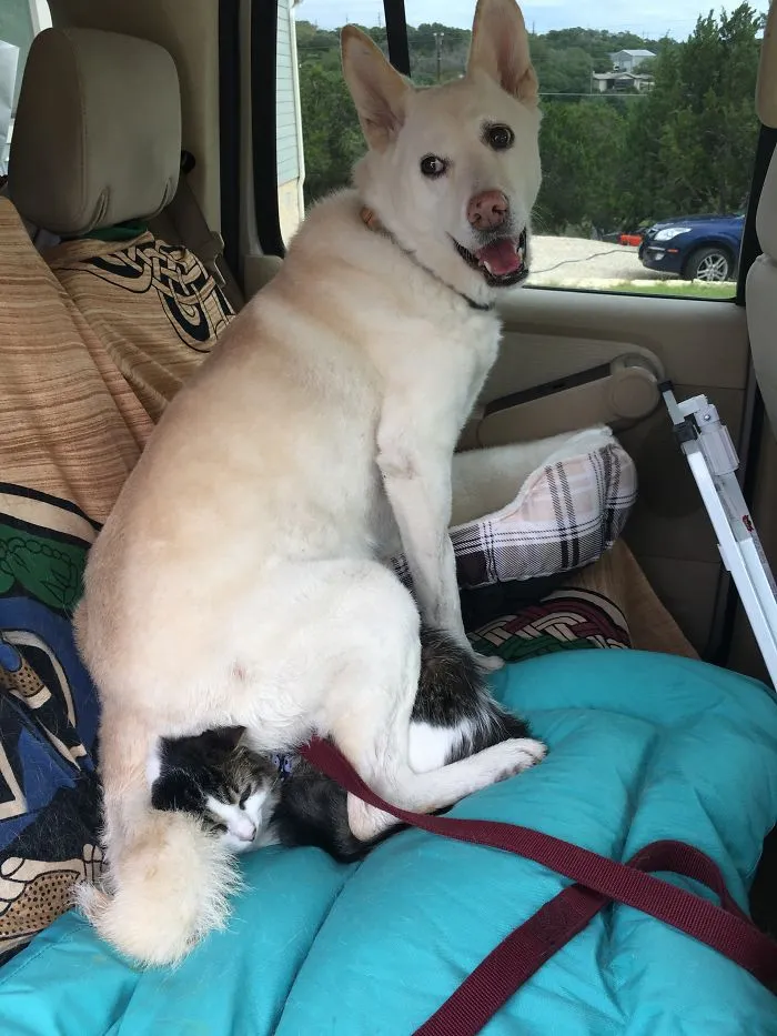 All I Can Say Is I'm Glad They Like Each Other!