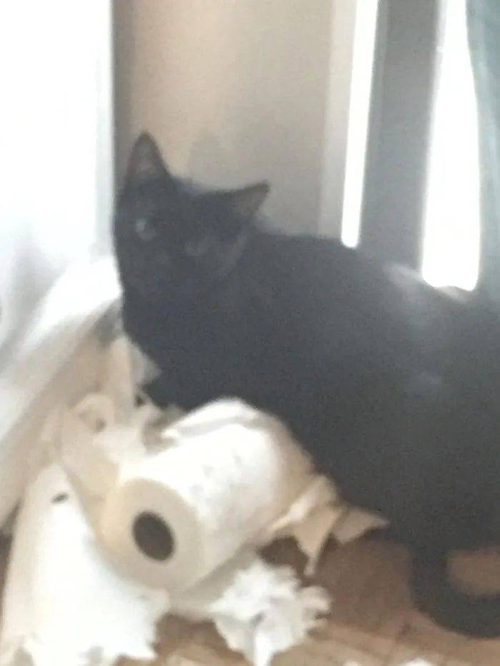 Stinker