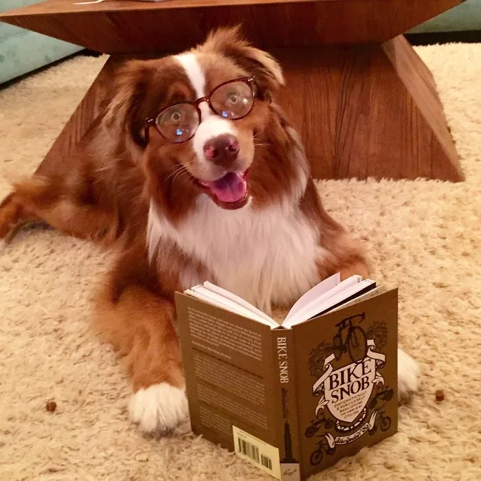 My Bookworm Phase
