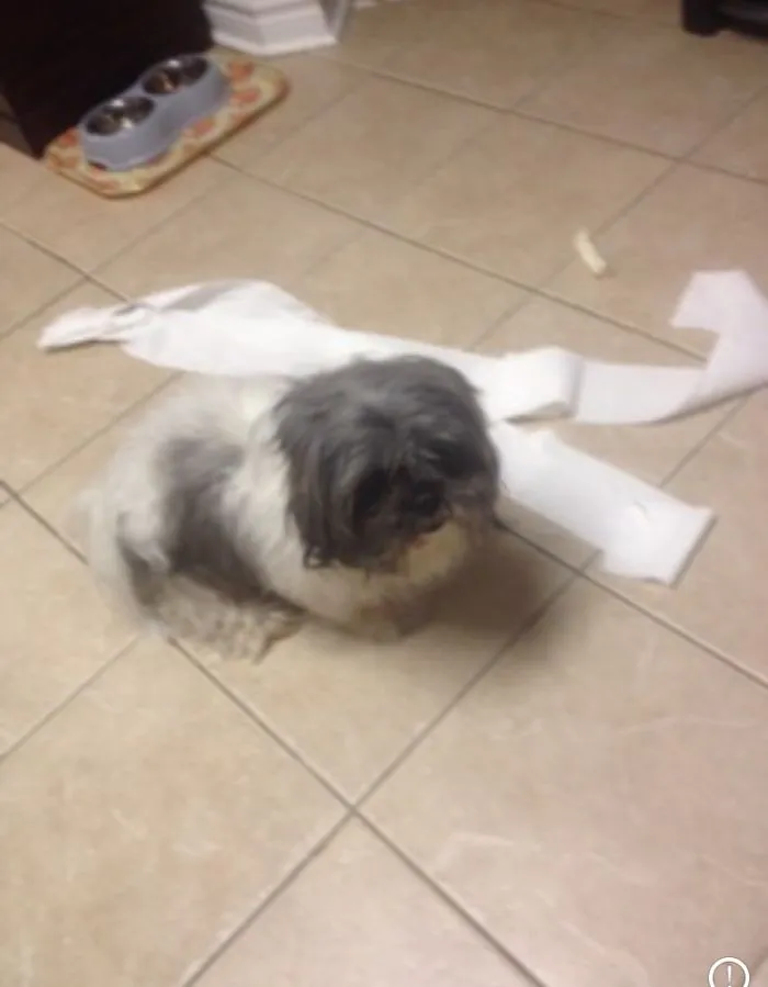 1 Of 3 - It Wasn't Me