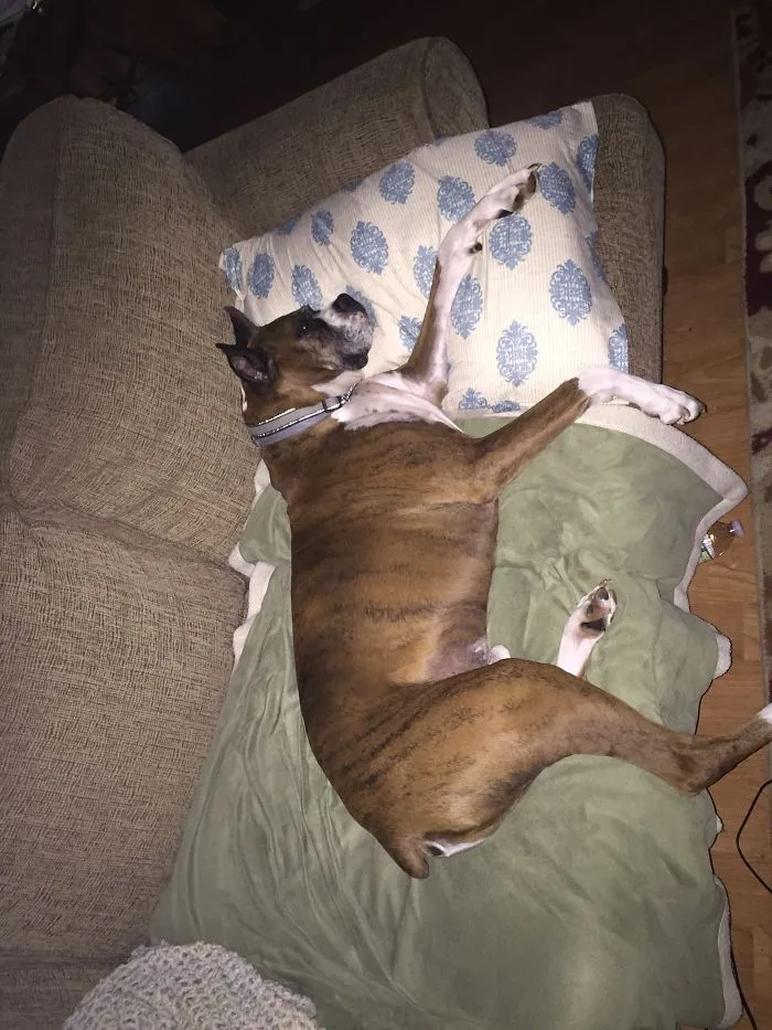 When You Leave The Room For A Minute And Come Back To This...